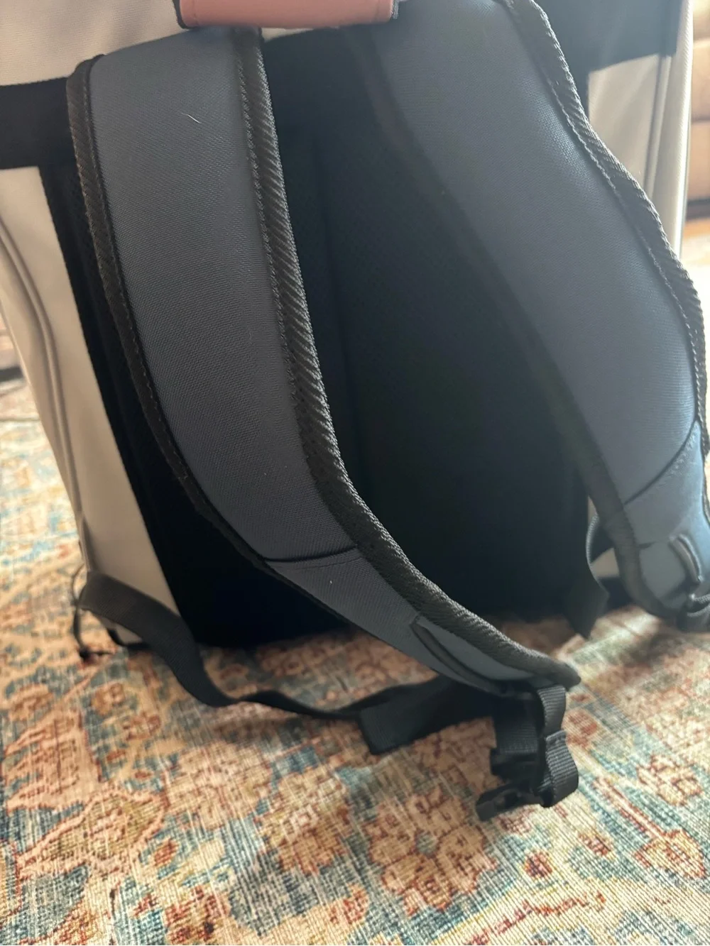 PetSafe Happy Ride Backpack Carrier - Black & Tan